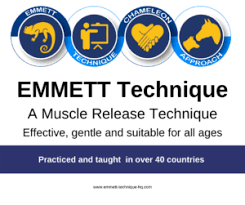 EMMETT technique certificate logo